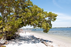 de-soto-florida
