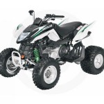 Artic Cat 300 DVX | We Buy ATVs